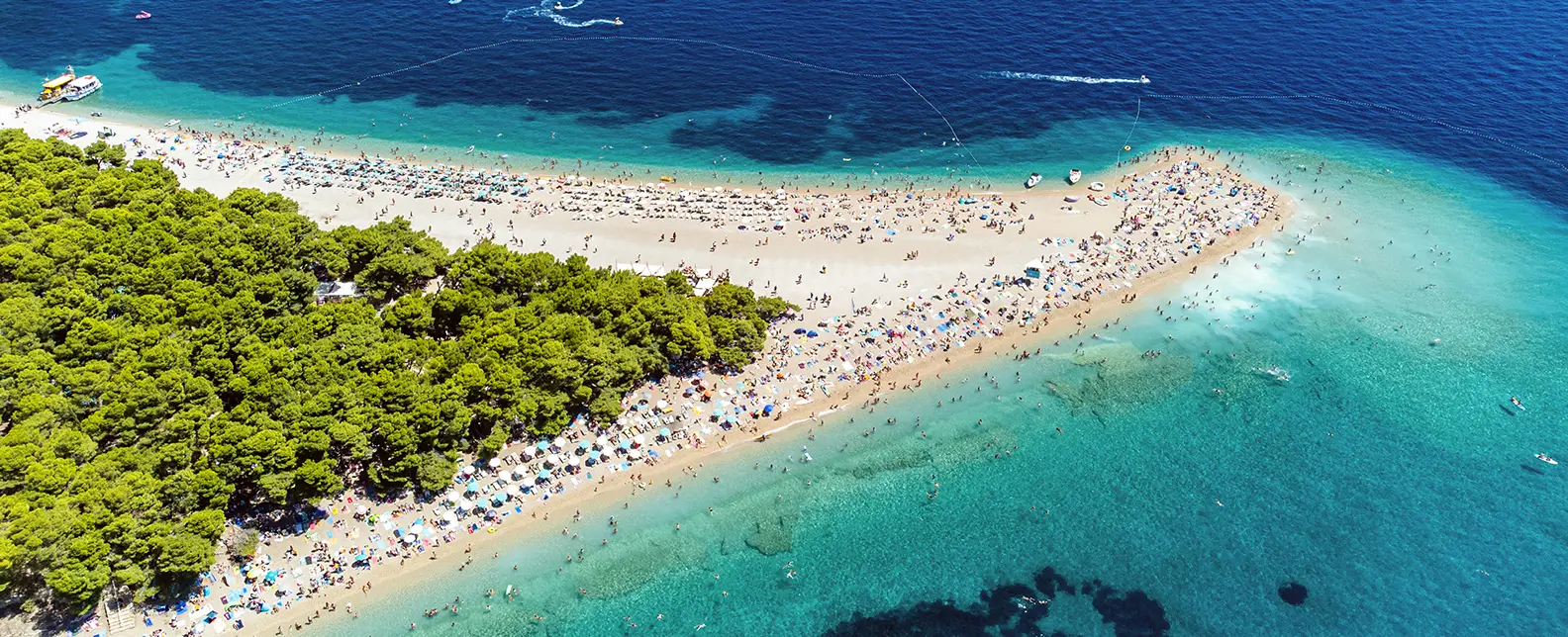 Golden horn, Brac